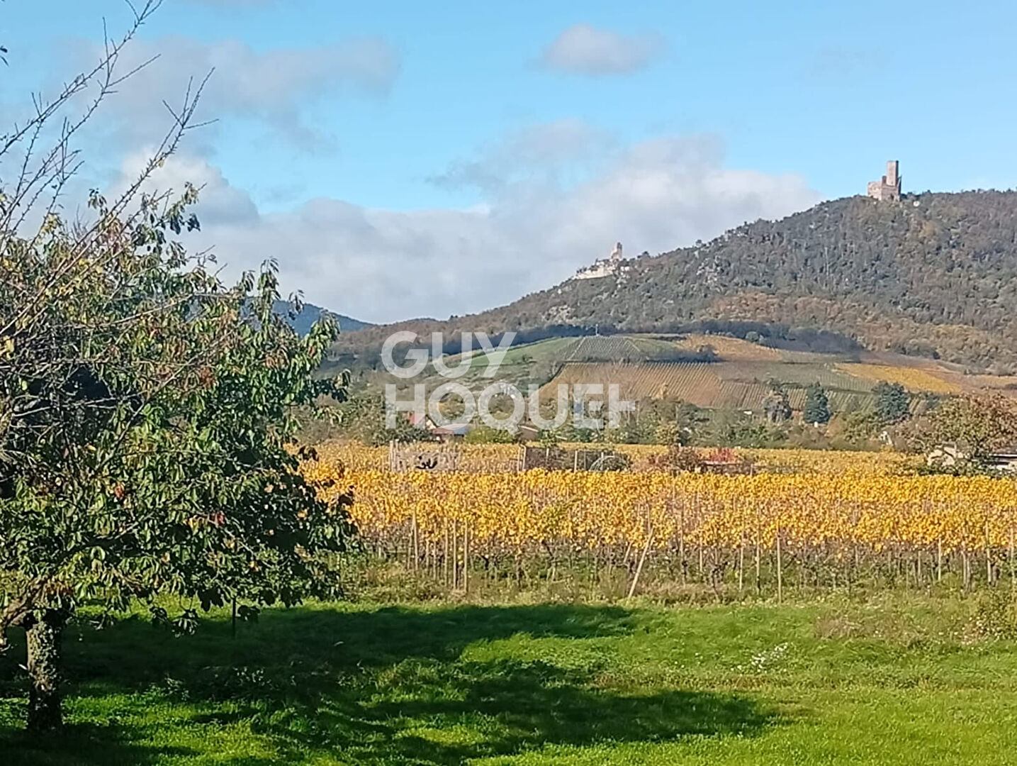 A saisir Maison de 210m2 sur terrain de 1400 m2