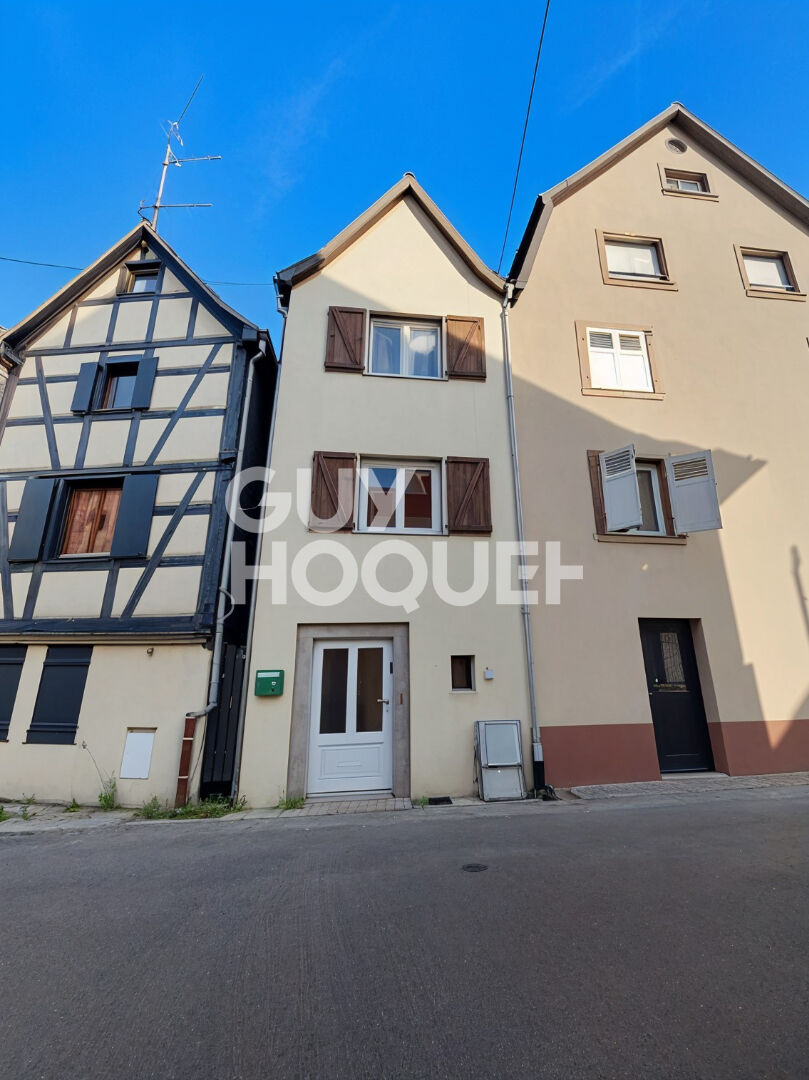 Investissez dans un gite à Sélestat !