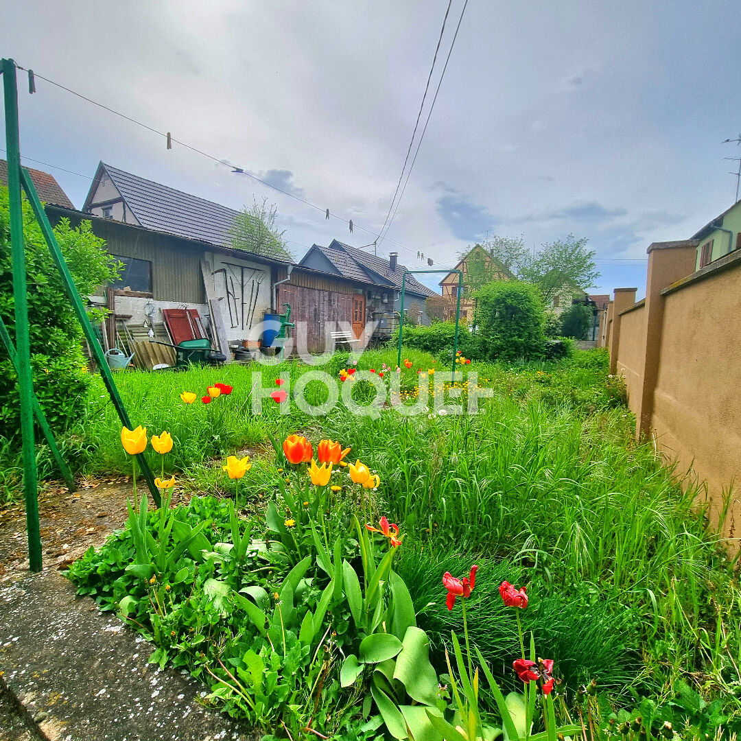Maison 6 pièces 204 m² habitables sur un terrain de 4,56 ares à HESSENHEIM