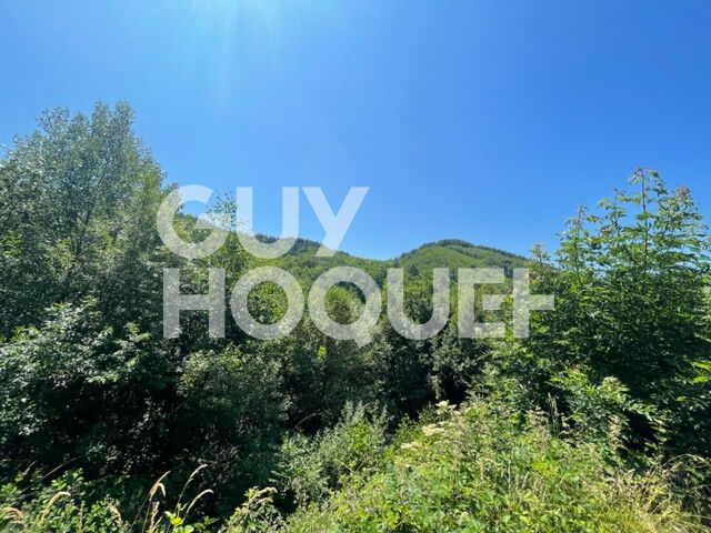 Terrain avec magnifique vue à Lalaye 1563 m2