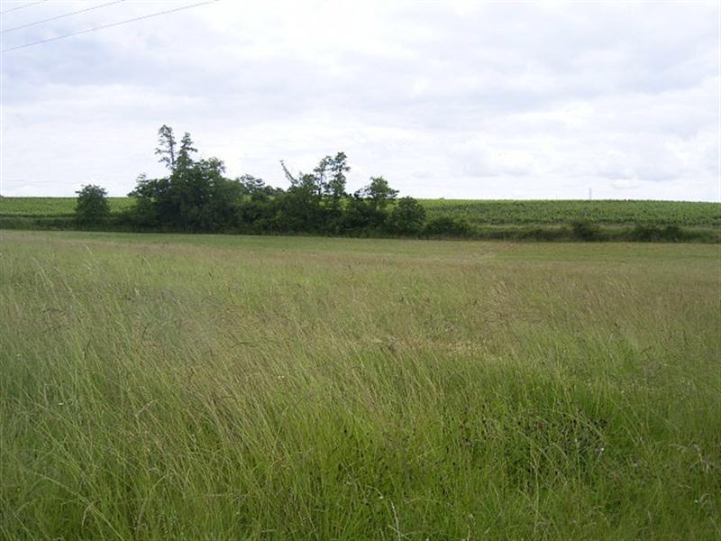Secteur FONCAUDE