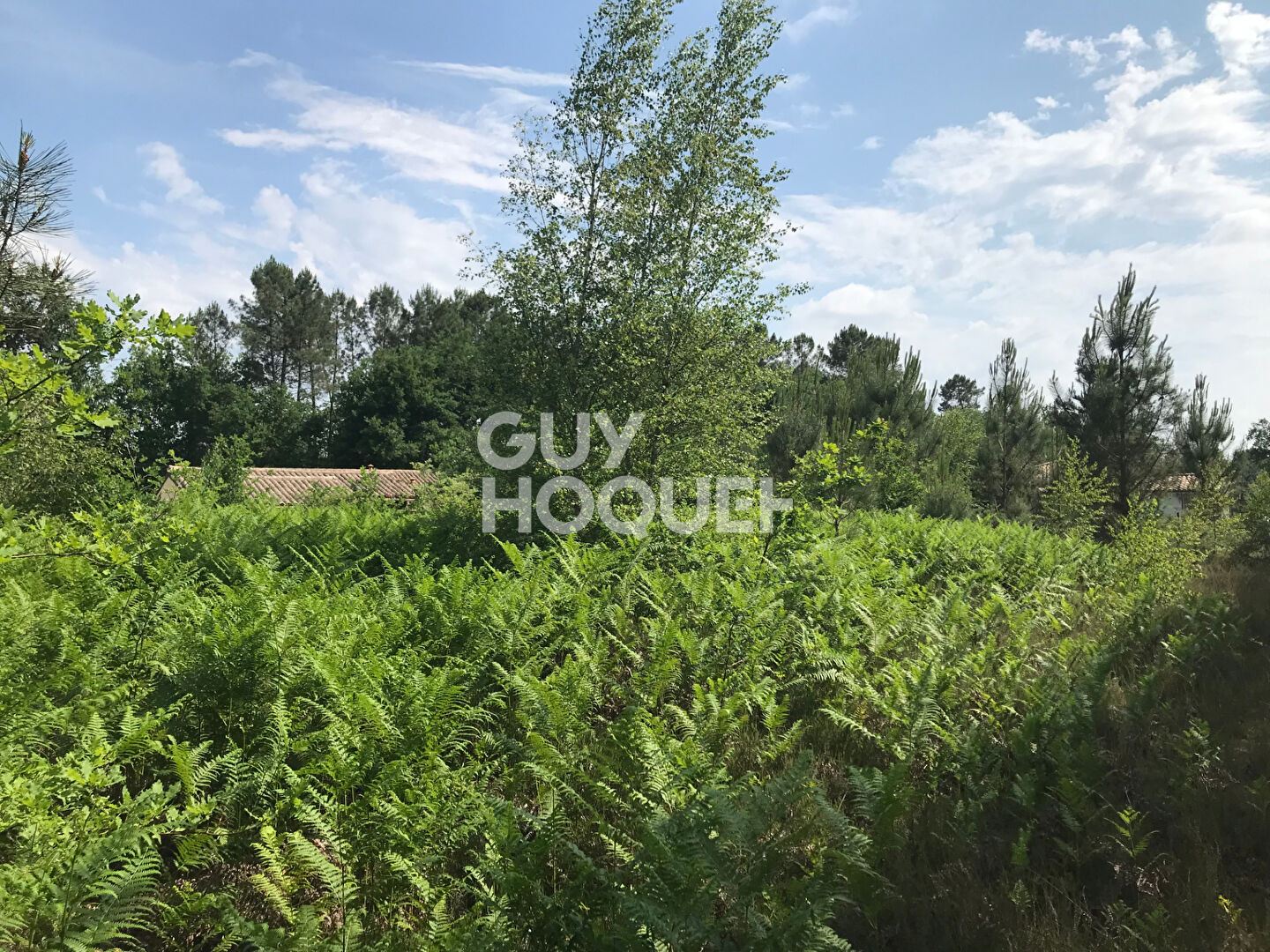 Rare : Terrain plat de 2000m2, en deuxième ligne - Proche Cabanac