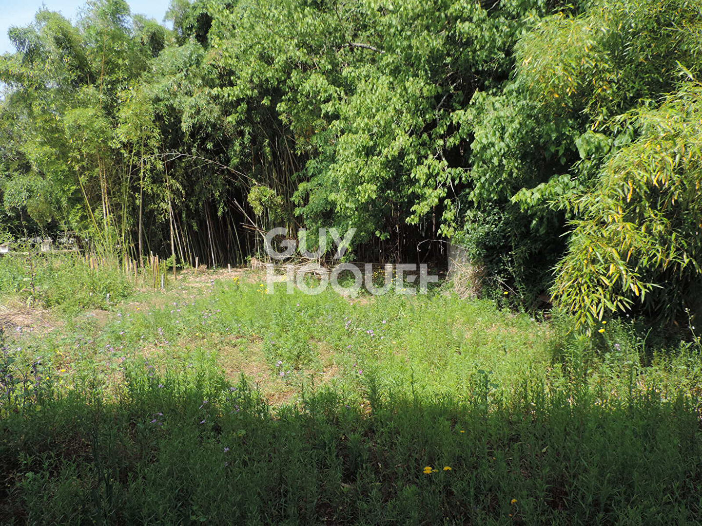 Proche PODENSAC  Hangar à transformer en habitation