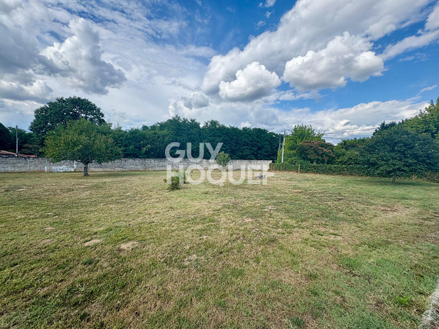 Terrain à vendre à Landiras