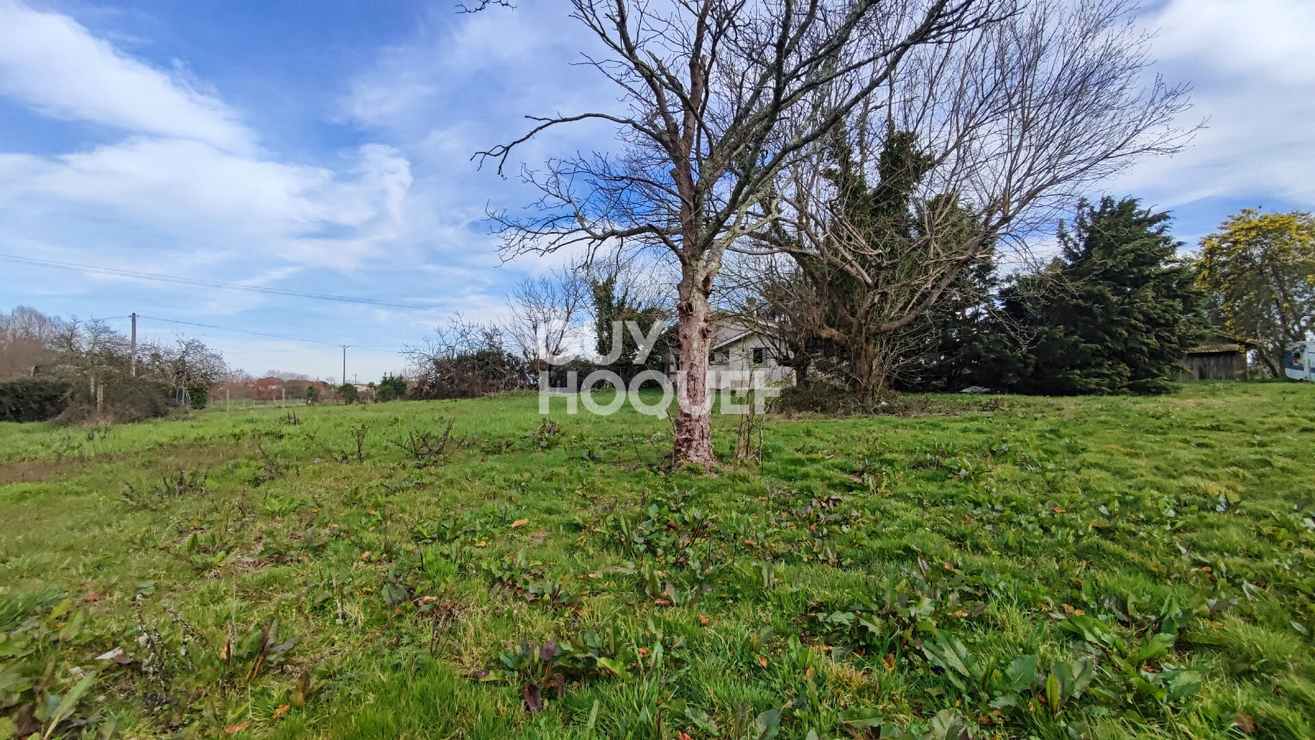 Maison à vendre avec grange + grand terrain