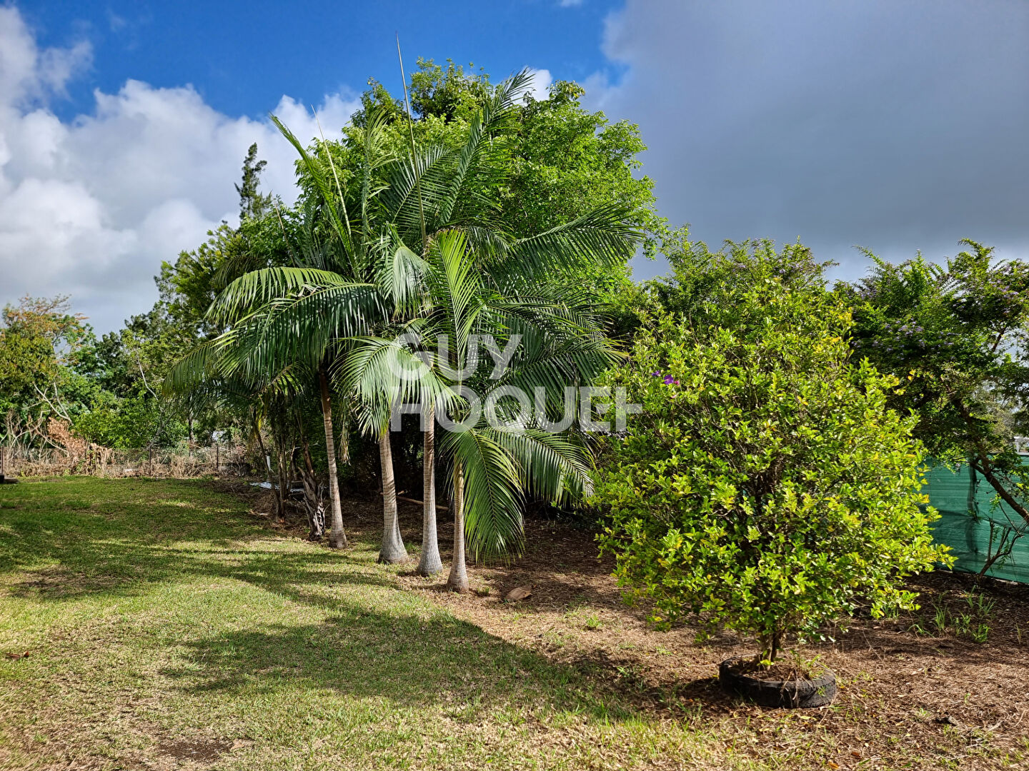 Maison 3 pièces de plain pied - Le Tampon PK14