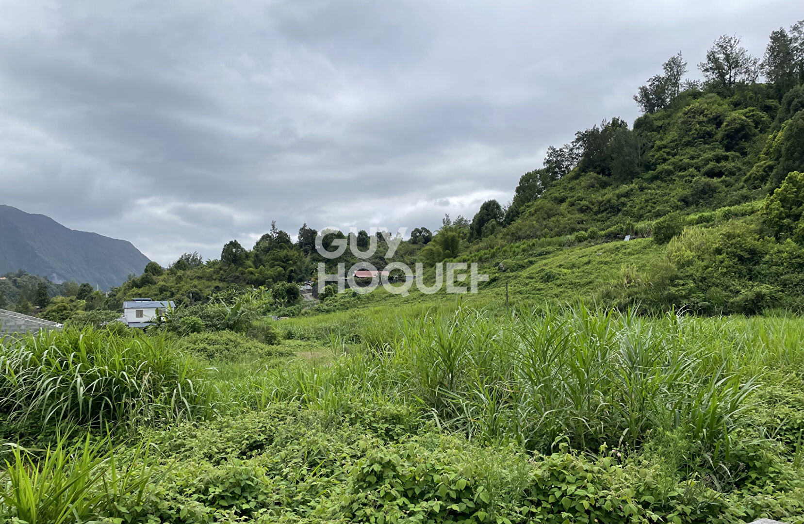 Terrain Salazie 500 m2