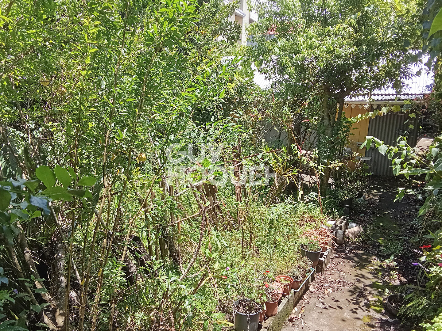 Terrain Le Tampon Centre-ville 500 m2