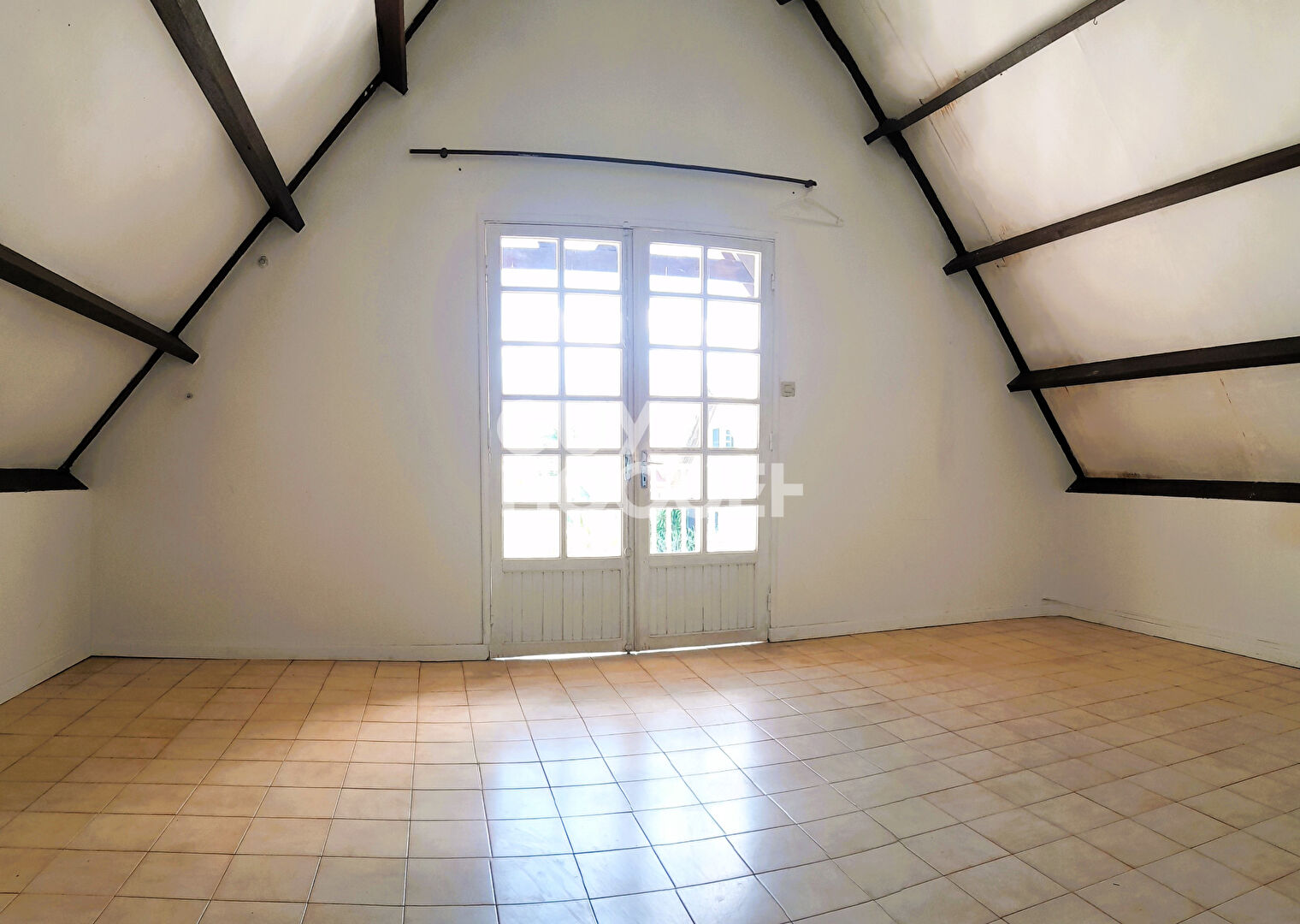 TAMPON( proche centre )