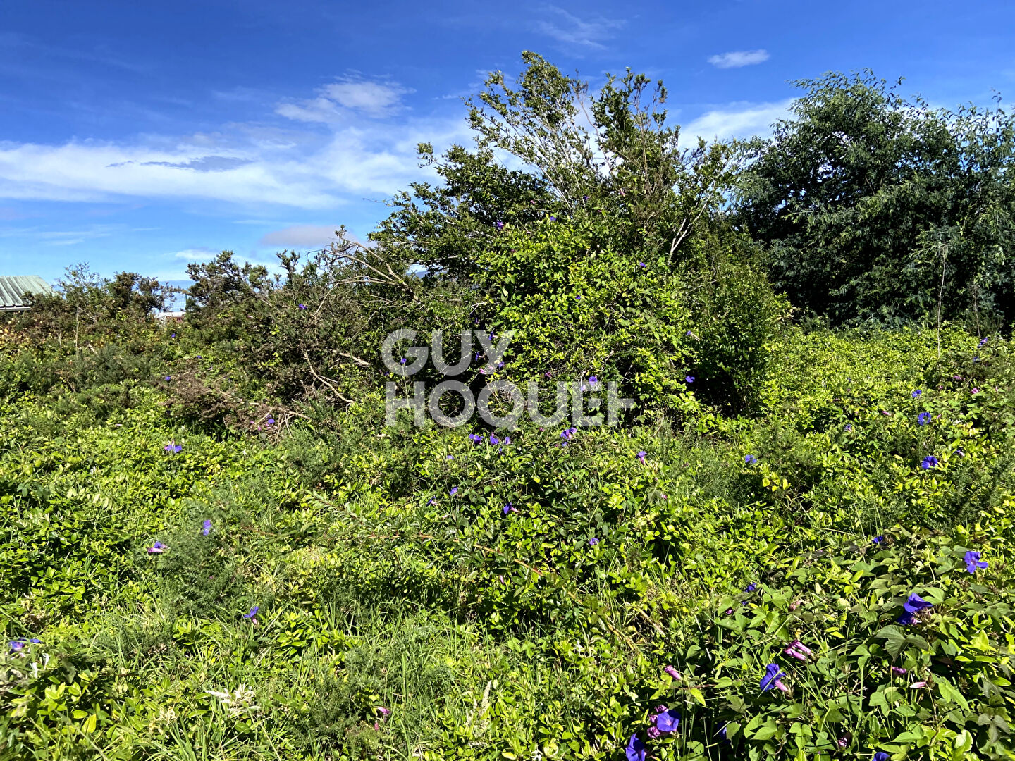 Terrain constructible - Plaine des Cafres, Bourg Murat