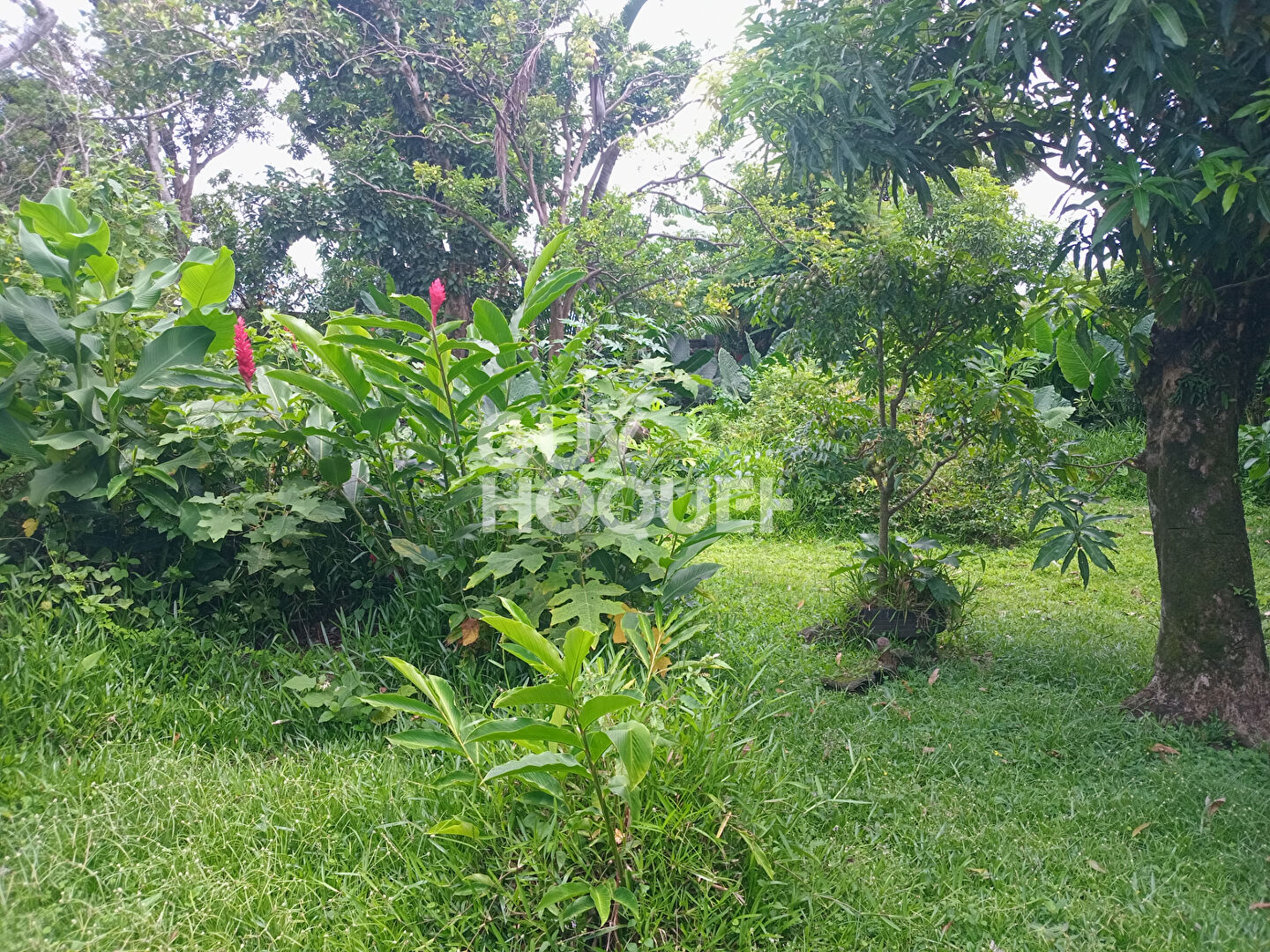 Terrain Saint Benoit 680 m2