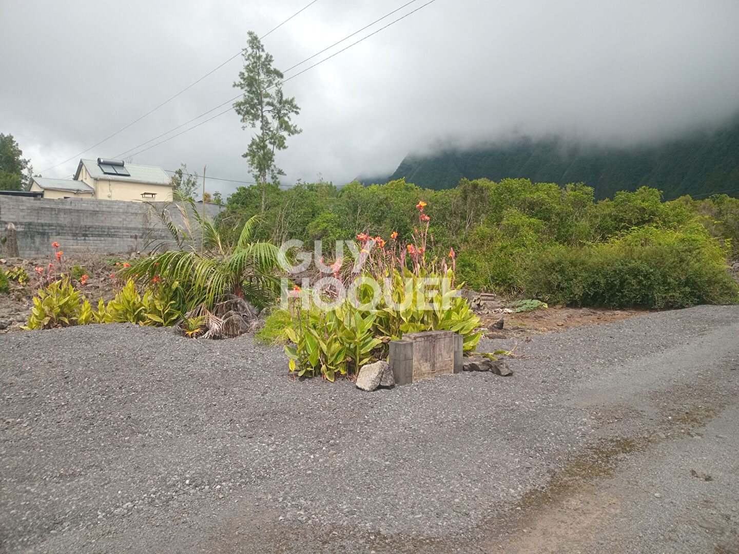 Terrain Plaine des Palmistes