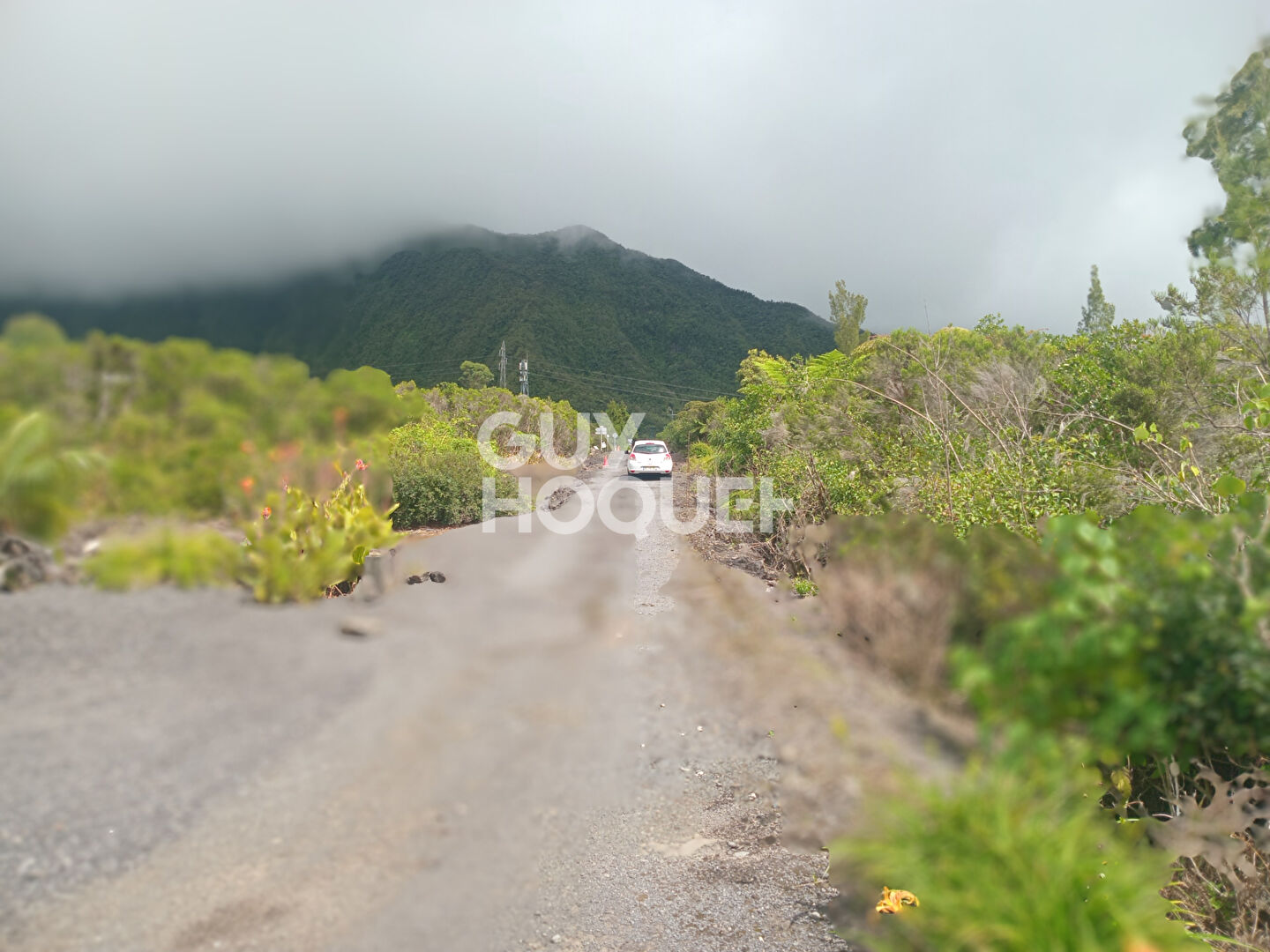 Terrain Plaine des Palmistes