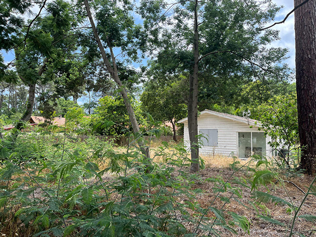 Photo Maison 3 pièces BISCARROSSE image 6/6