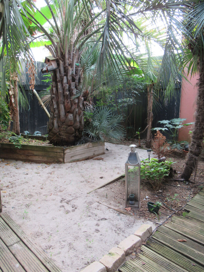 Photo CHATELAILLONNAISE VUE MER image 5/6