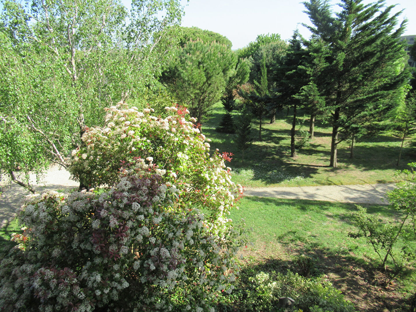 Agence immobilière de AGENCE A. RATEAU LR