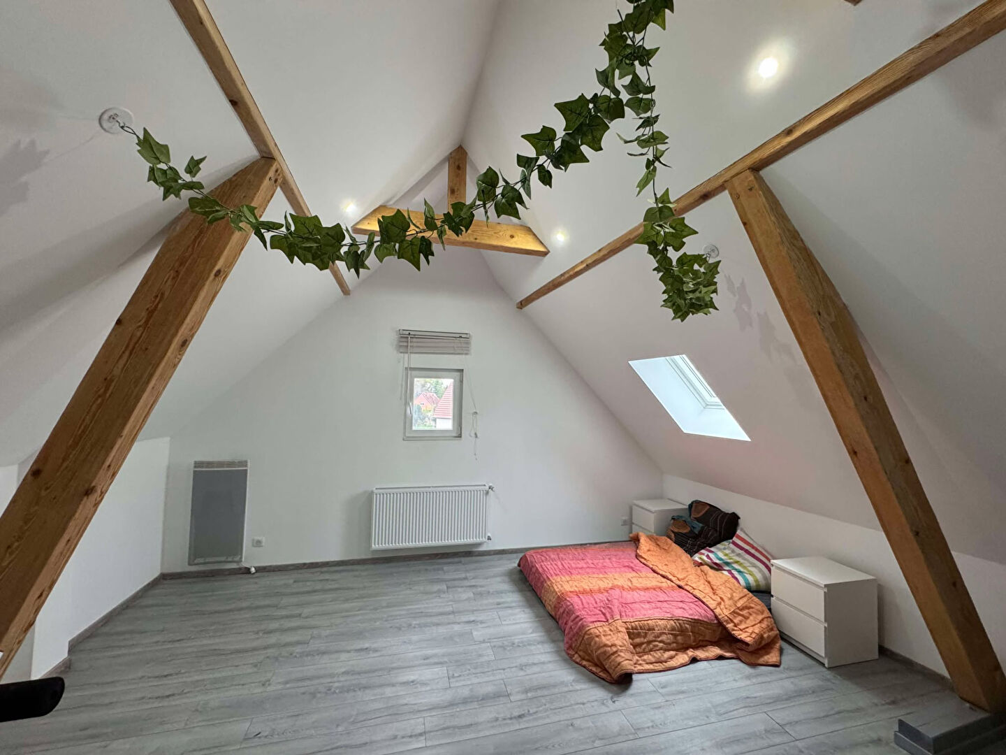 Photo IMMEUBLE GUNDOLSHEIM image 2/6