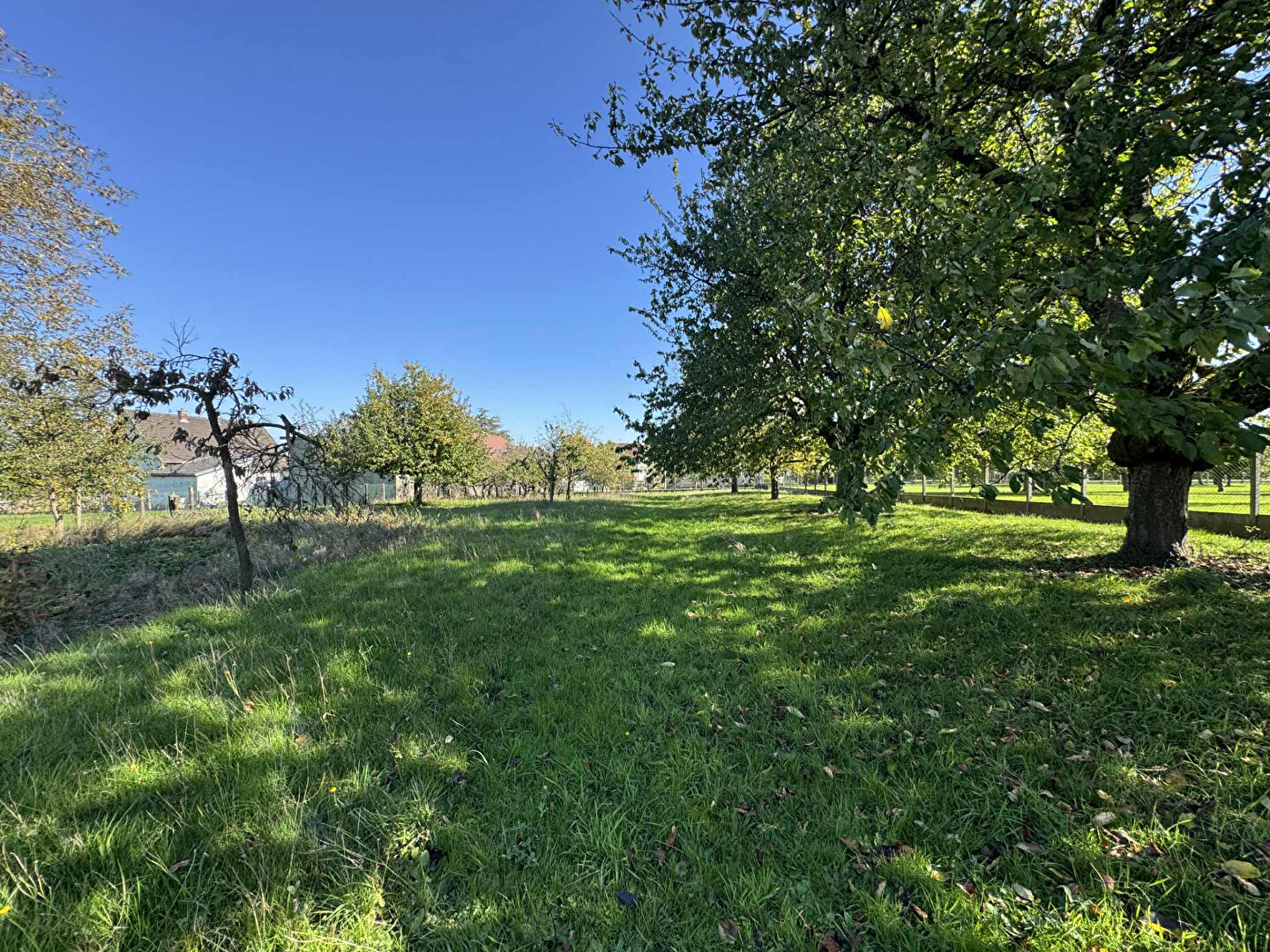 Photo MAISON INDIVIDUELLE AVEC GRAND TERRAIN CONSTRUCTIBLE image 2/6