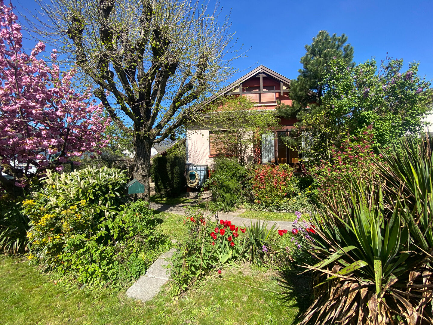 Agence immobilière de 4% Immobilier Export - 4% Immobilier Cernay