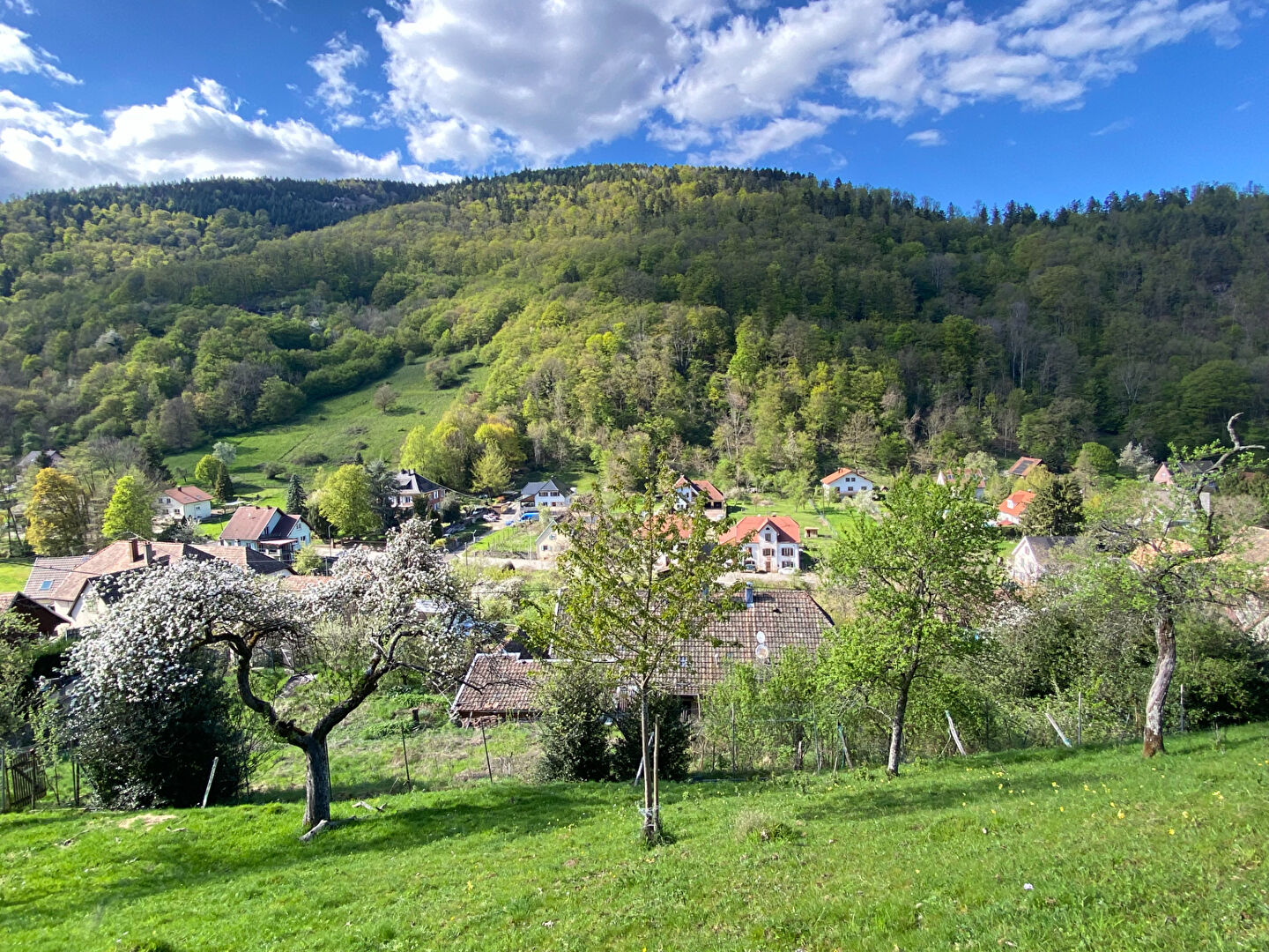 Agence immobilière de 4% Immobilier Export - 4% Immobilier Cernay
