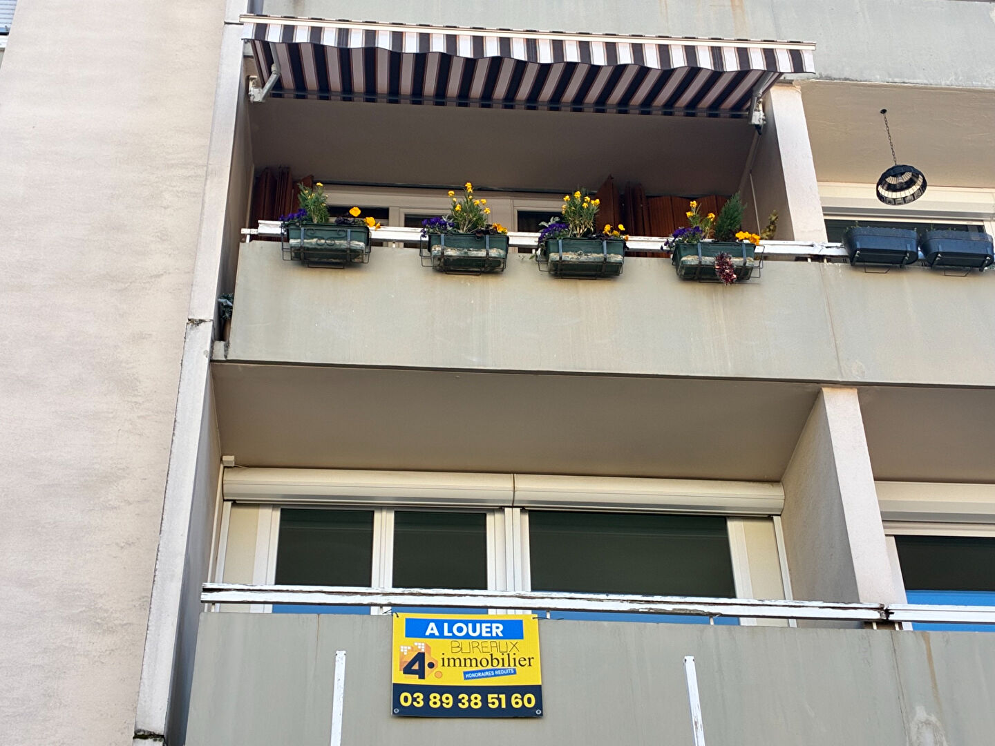 Agence immobilière de 4% Immobilier Export - 4% Immobilier Guebwiller