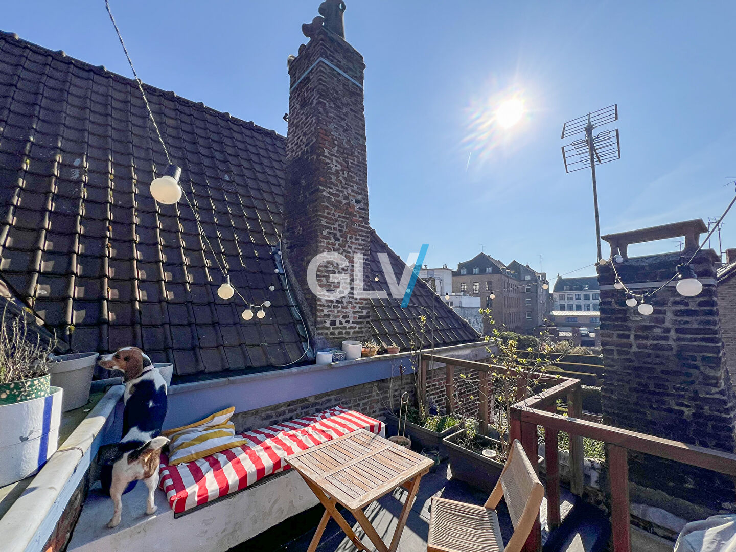 Photo Maison Vieux Lille 3 pièces 63 m2 - Terrasse image 6/6