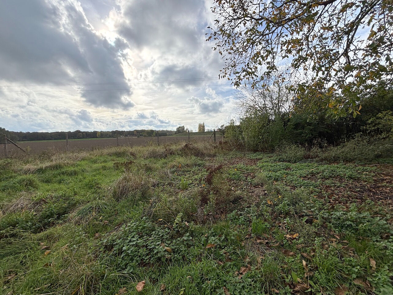 Terrain Beuvry La Foret 478 m2