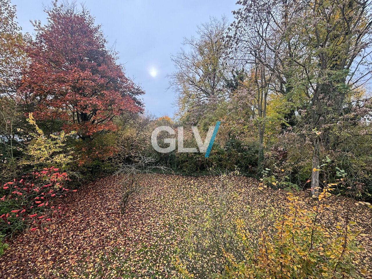 Photo Appartement Villeneuve D Ascq 3 pièce(s) 66.40 m2 image 4/6