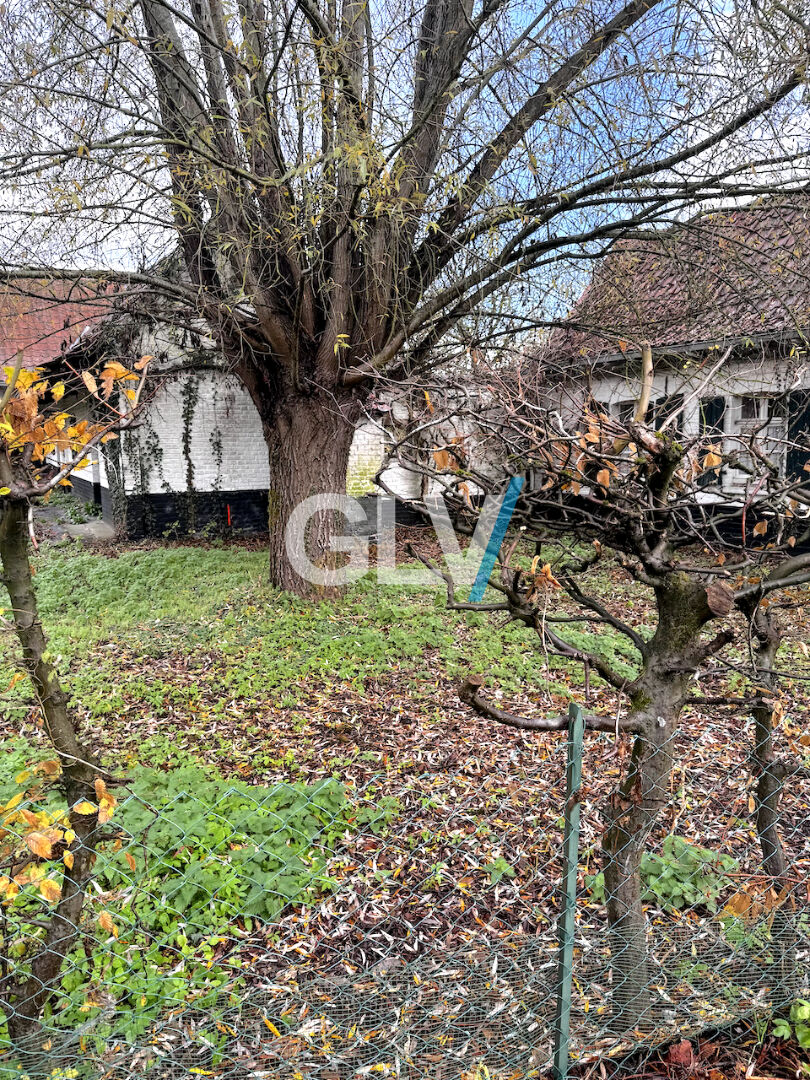 Photo Maison Bourghelles 4 pièce(s) 100 m2 image 3/3