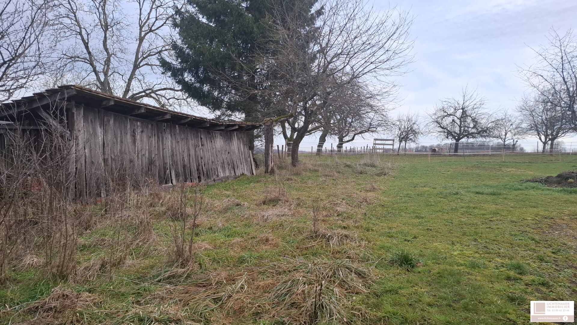 Agence immobilière de Lichtenauer Immobilier