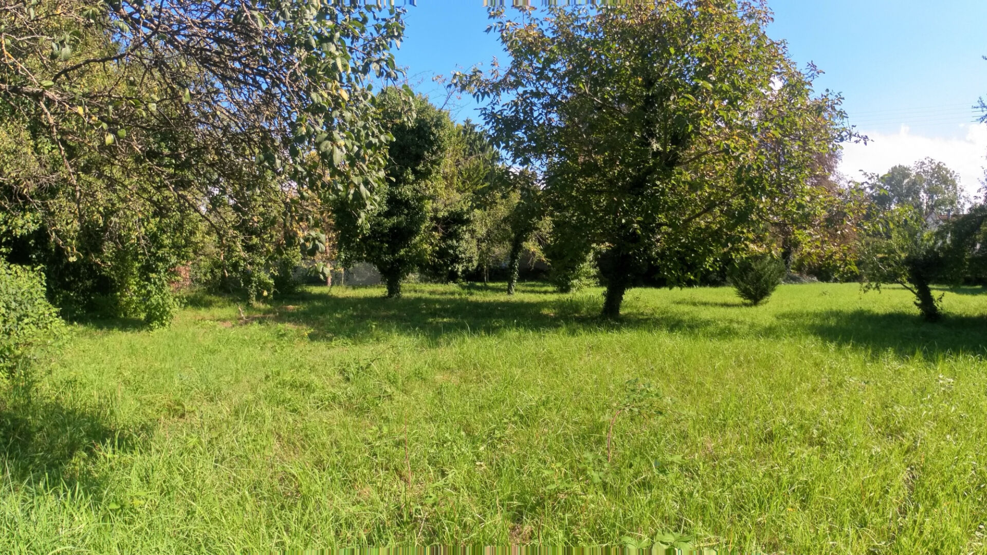 Photo *** À VENDRE - TERRAIN DE 11,80 ARES À SAINT LOUIS *** image 2/3