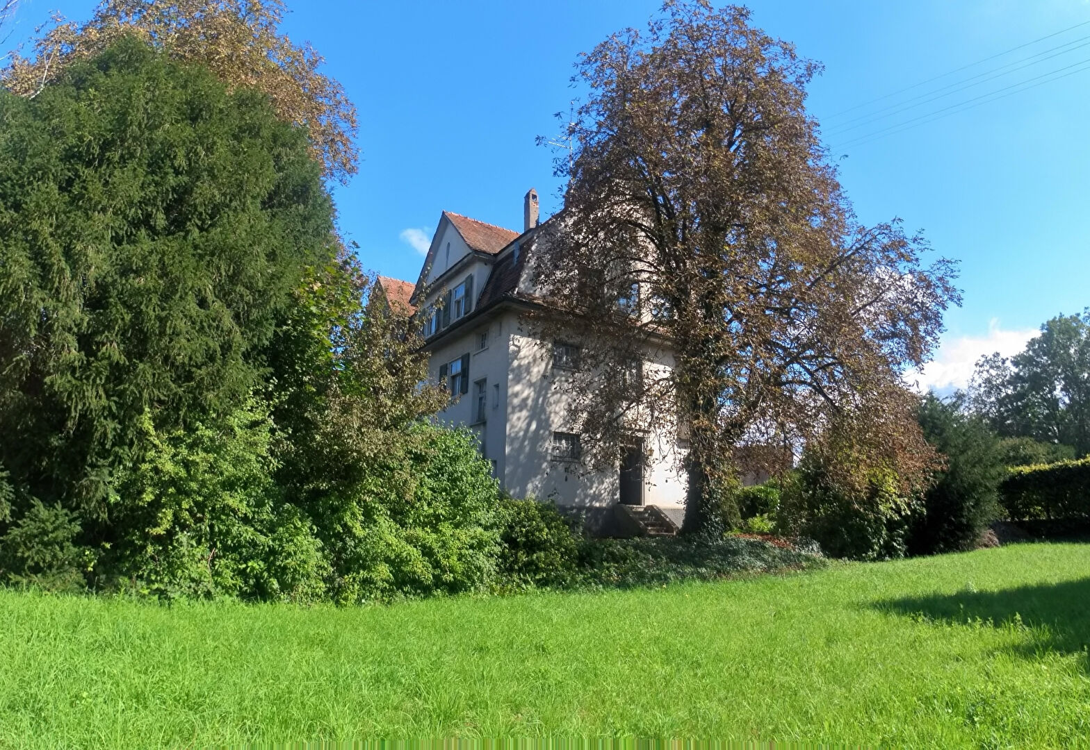 Agence immobilière de Lichtenauer Immobilier