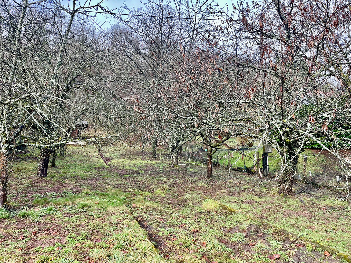 Agence immobilière de Lichtenauer Immobilier