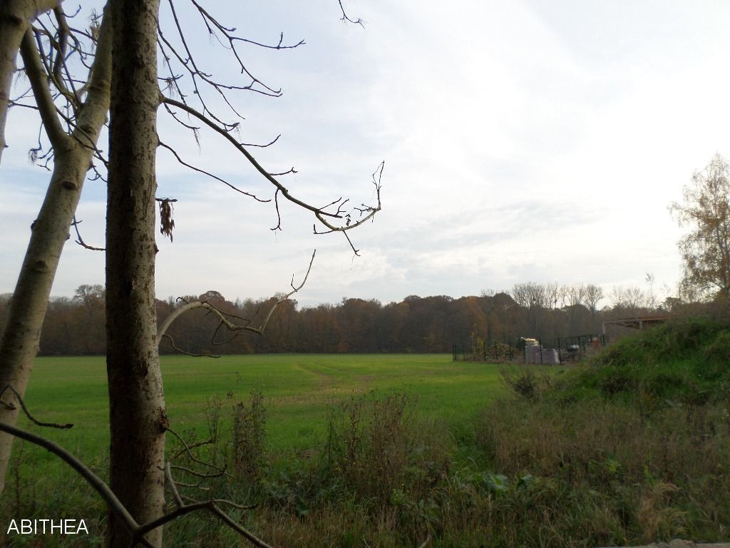 Agence immobilière de ABiTHEA LA FERTE SOUS JOUARRE