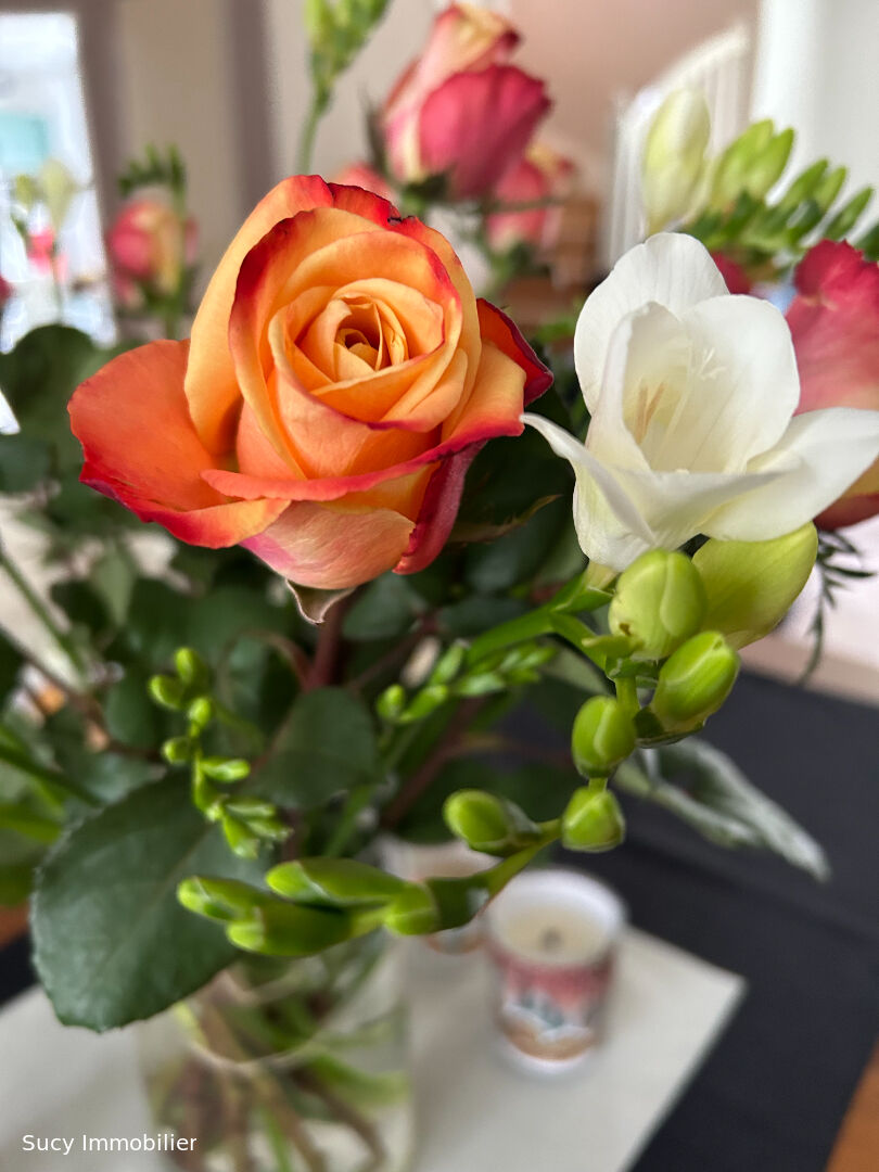 Photo Fonds de commerce Sucy En Brie image 1/1