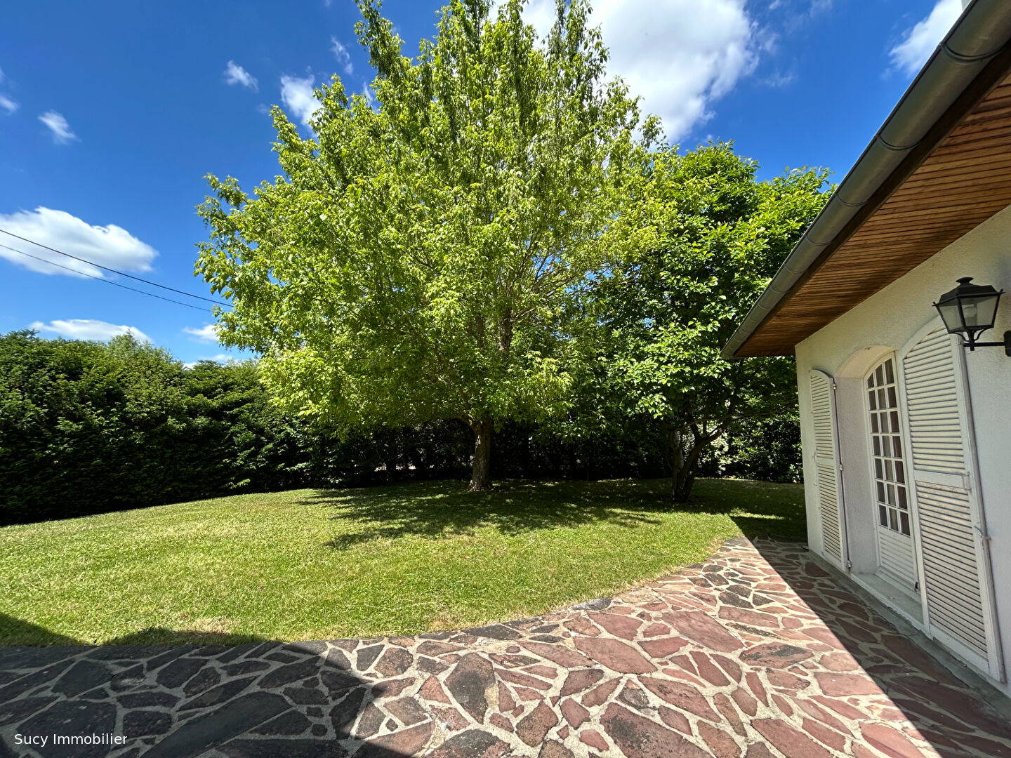 Photo Maison Sucy En Brie 10 pièce(s) 230 m2 image 5/6