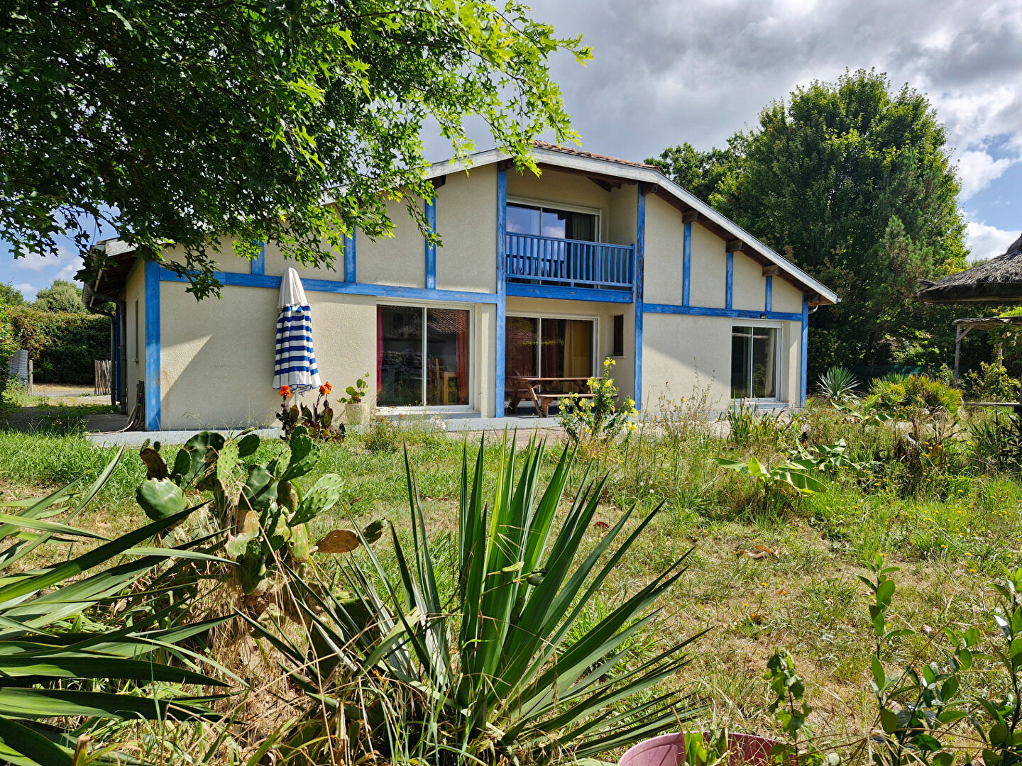 Agence immobilière de 
 Tosse Immo - AGENCE DES PINS 
