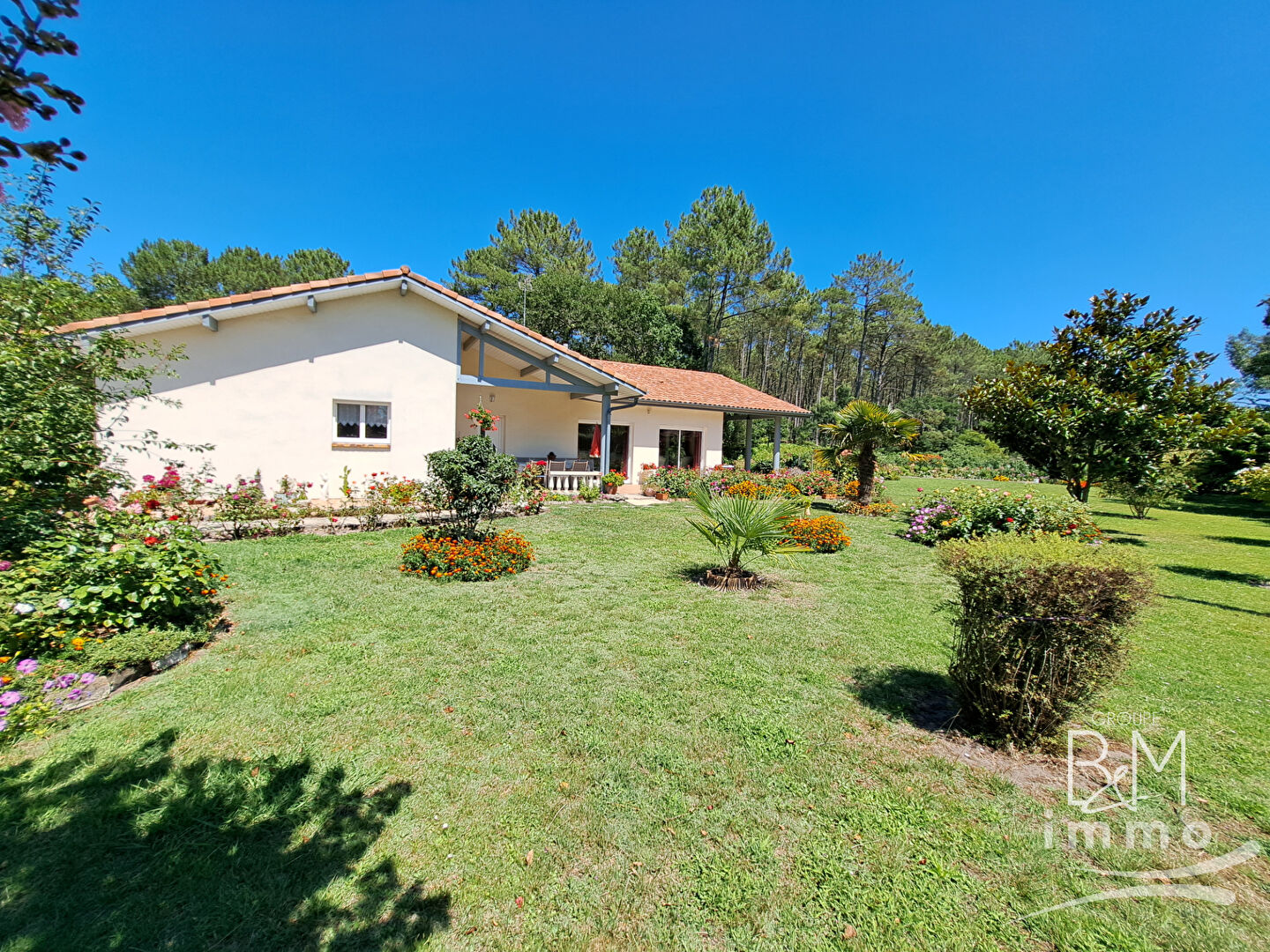 Agence immobilière de 
 Tosse Immo - AGENCE DES PINS 
