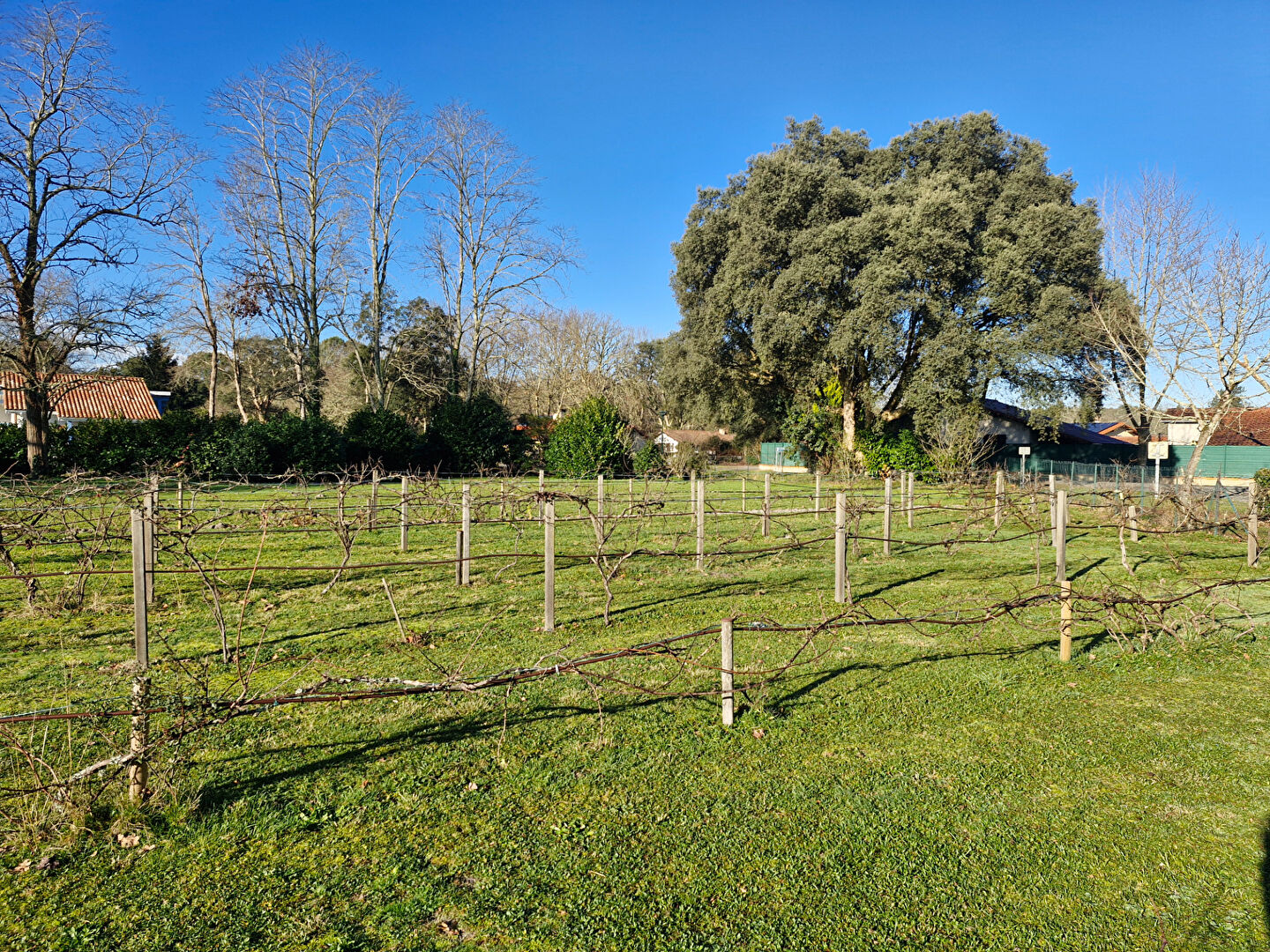 Agence immobilière de 
 Tosse Immo - AGENCE DES PINS 
