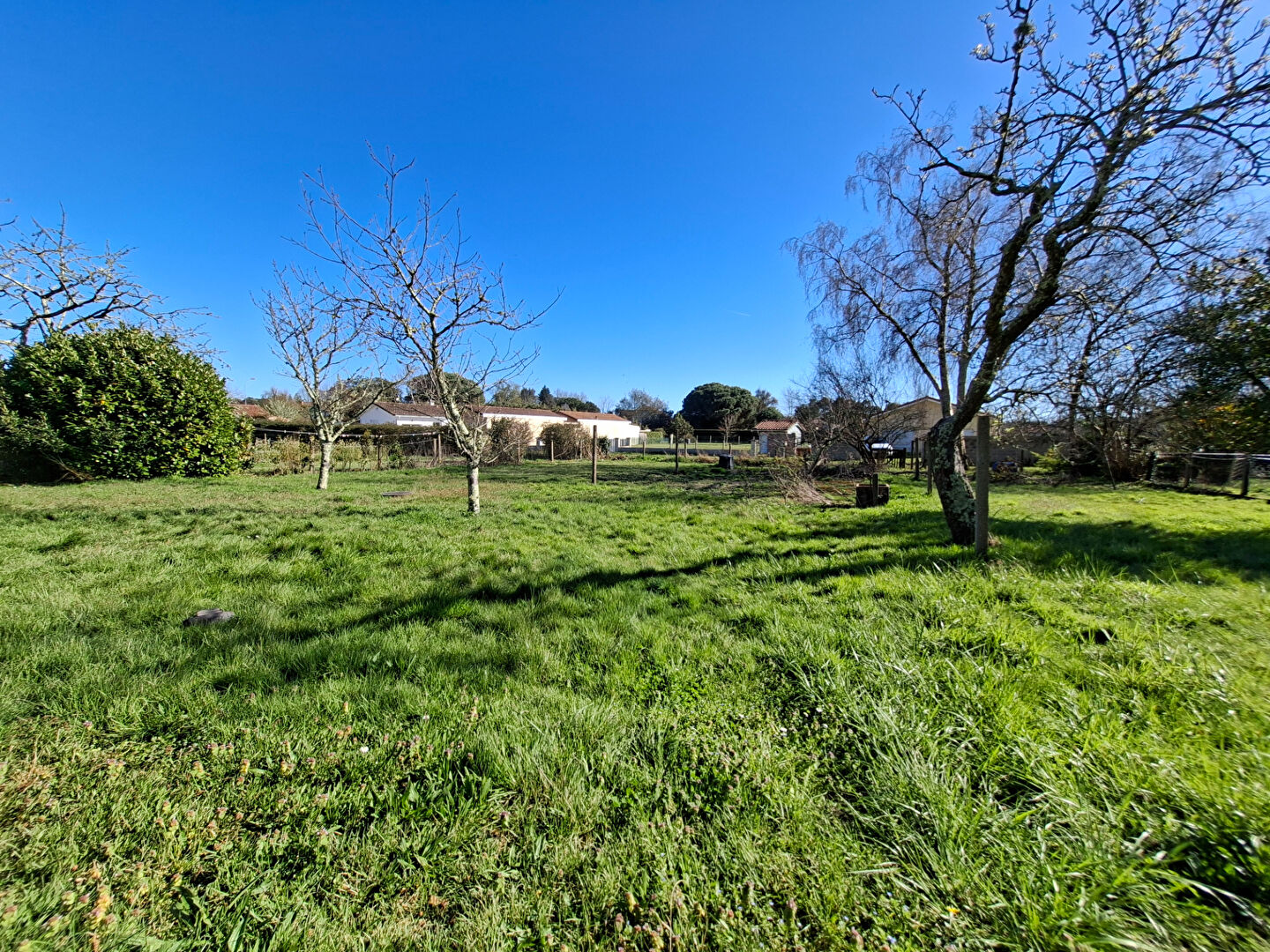 Agence immobilière de 
 Tosse Immo - AGENCE DES PINS 
