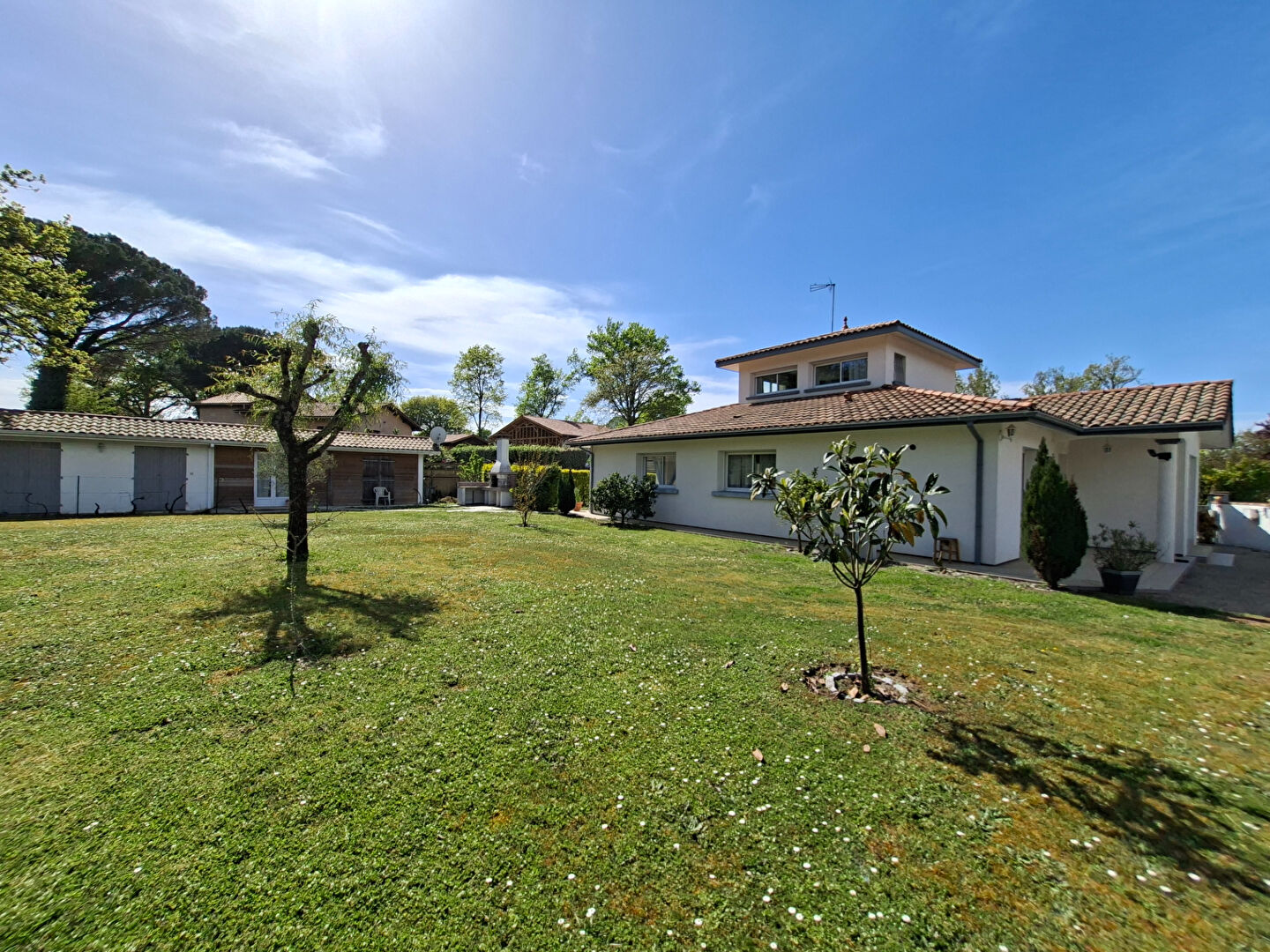 Agence immobilière de 
 Tosse Immo - AGENCE DES PINS 
