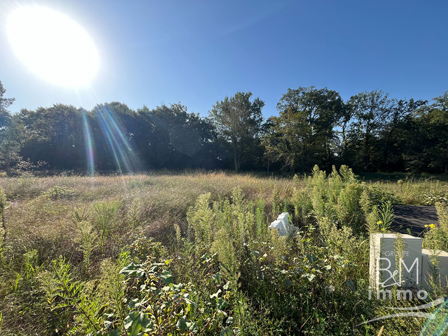 Photo A VENDRE TERRAIN A BATIR SUR TOSSE image 2/3