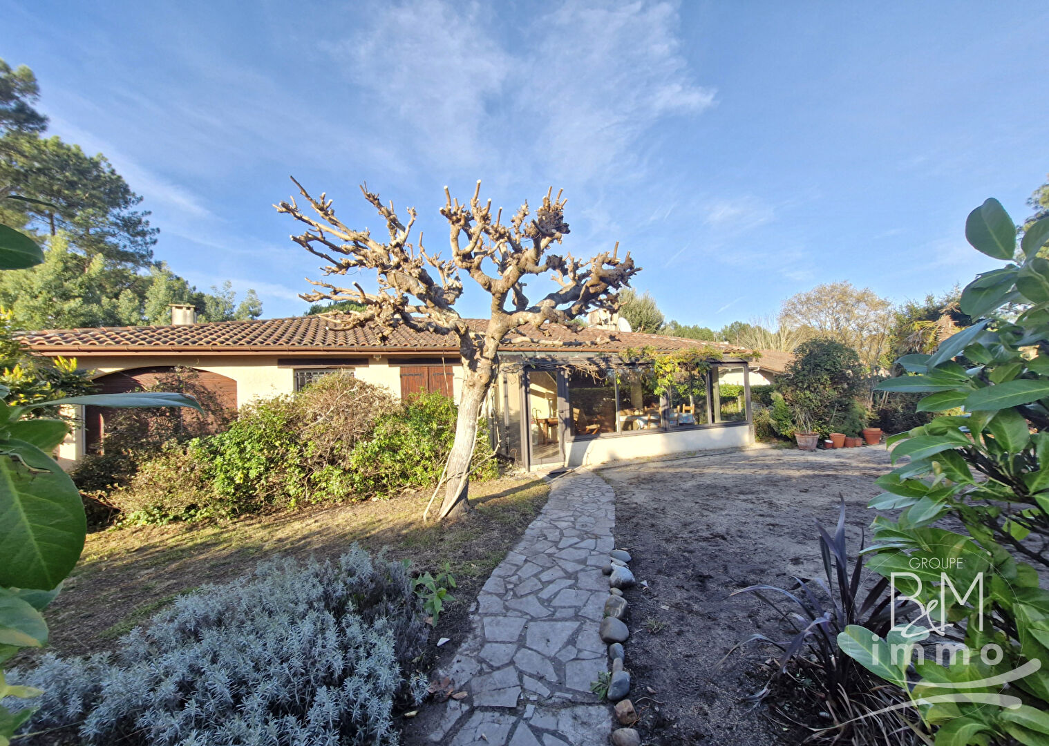 Agence immobilière de 
 Tosse Immo - AGENCE DES PINS 
