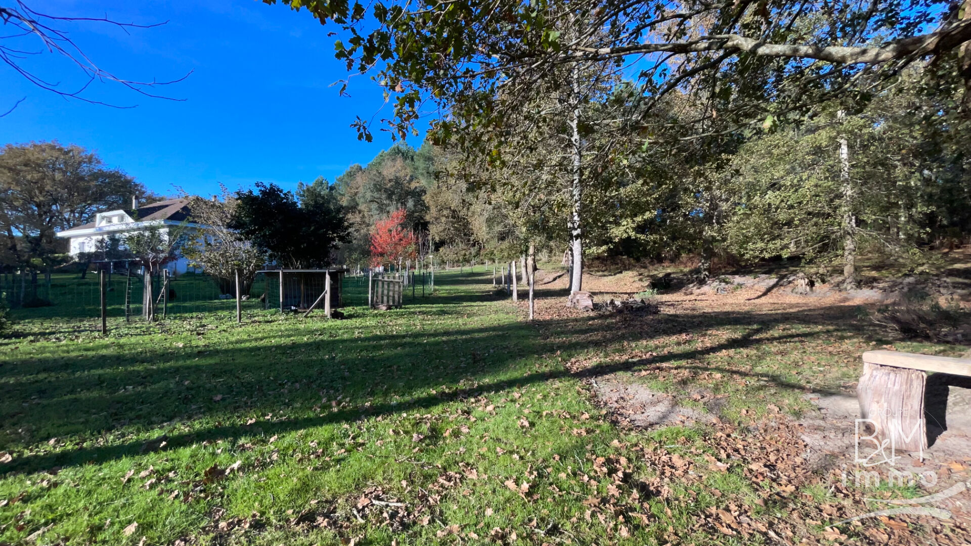 Photo Maison Azur 7 pièce(s) 220 m2 image 5/6