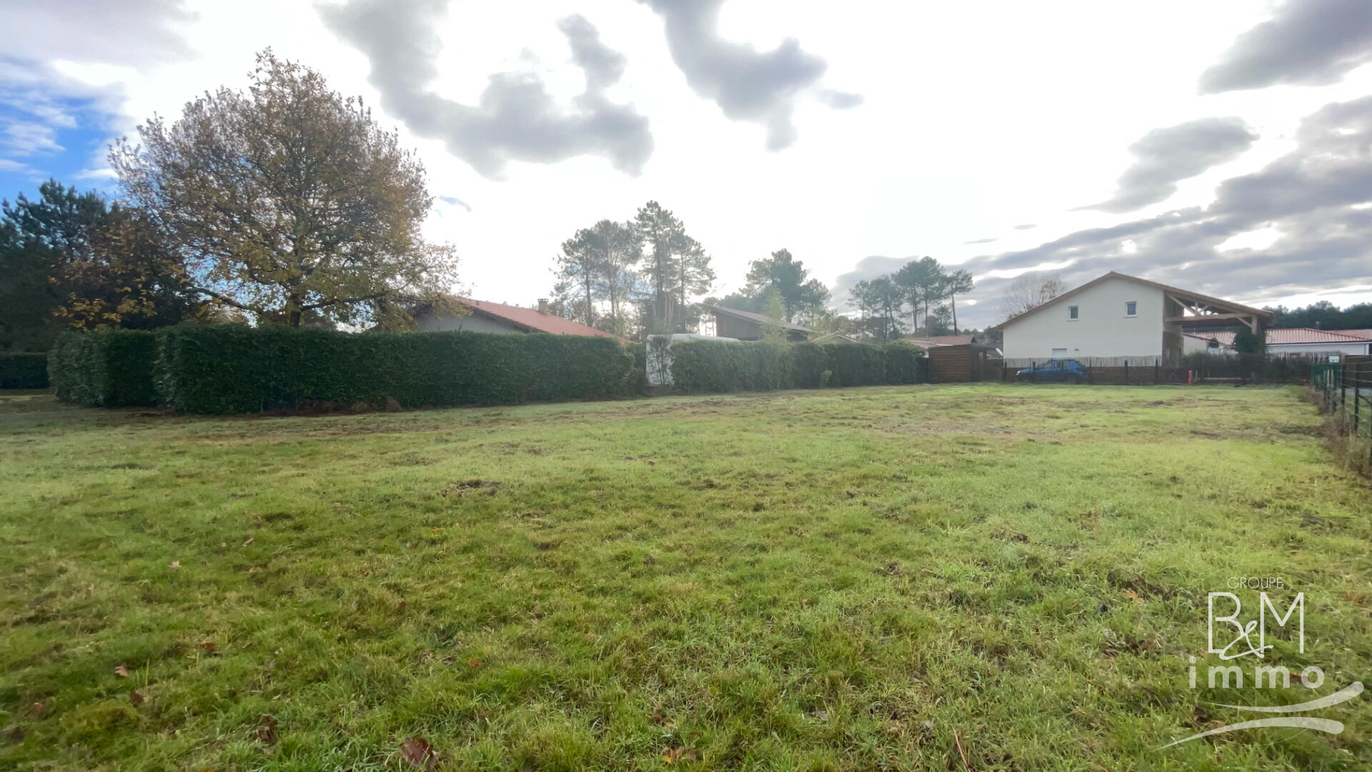 Photo Terrain  778 m2 image 3/4