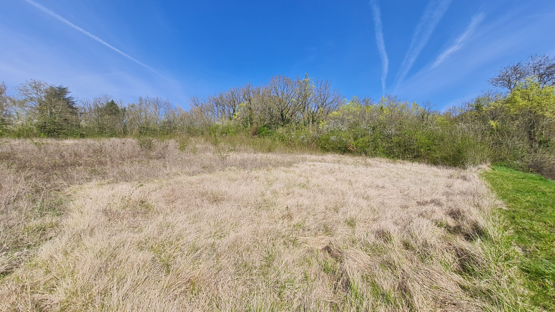 Agence immobilière de Agence la Chaumière - Agence la Chaumière