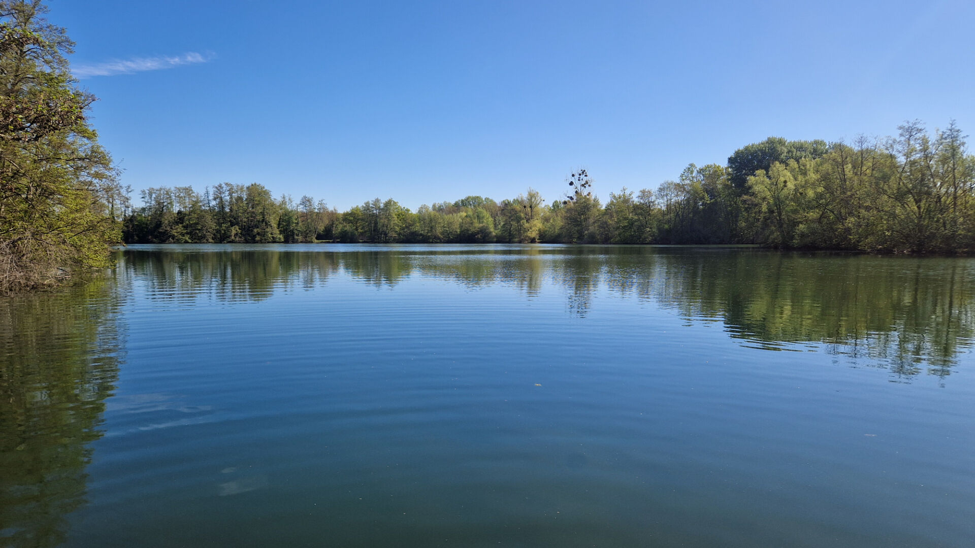 Agence immobilière de Agence la Chaumière - Agence la Chaumière