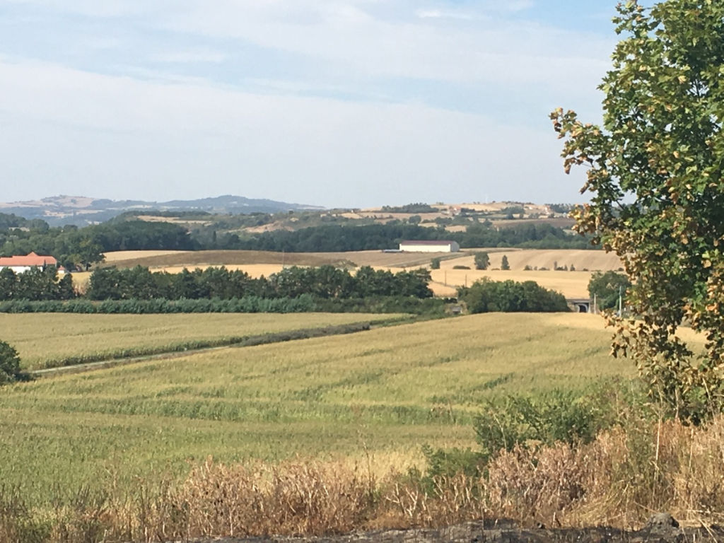 Agence immobilière de Agence des Volcans