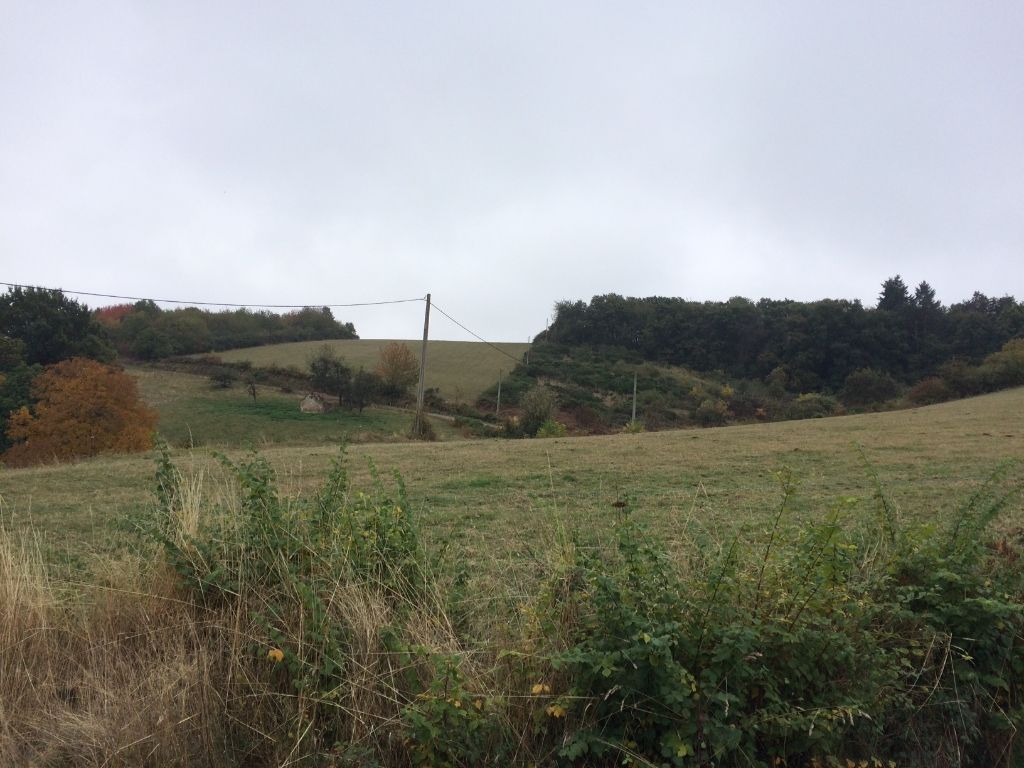Agence immobilière de Agence des Volcans