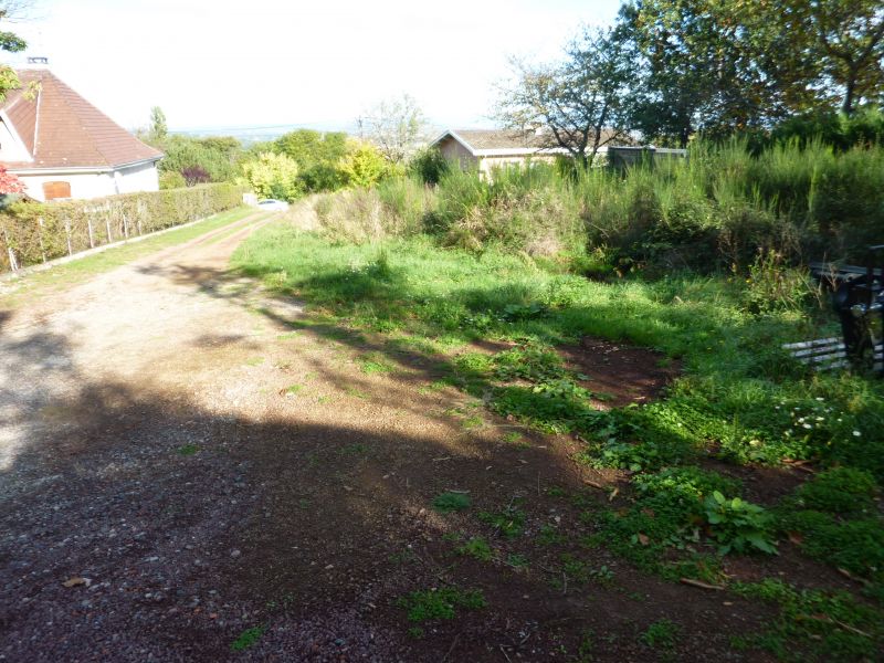 Agence immobilière de Agence des Volcans